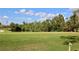 Peaceful view of a golf course with lush green grass and mature trees at 1901 Oyster Catcher Ln # 814, Clearwater, FL 33762