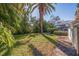 Lush backyard with palm trees, tropical foliage, and a screened lanai at 165 4Th N Ave, Tierra Verde, FL 33715