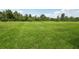 Expansive green backyard perfect for recreation and outdoor activities at 31895 Anchor Point Dr, Wesley Chapel, FL 33545