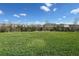 A view of a well-manicured backyard with lush green grass at 31901 Anchor Point Dr, Wesley Chapel, FL 33545