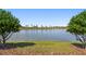 Scenic view of the pond framed by trees, showcasing the property's serene natural surroundings at 6741 Michael Favor Way, Wesley Chapel, FL 33545