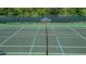 Two well-maintained pickleball courts at Tampa Bay Golf and Country Club at 10520 Collar Dr, San Antonio, FL 33576