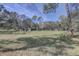 Large grassy area with mature trees and a shed in the background at 1106 Oxbow Rd, Wimauma, FL 33598