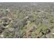 Aerial view of a home nestled among trees, providing privacy and tranquility at 1106 Oxbow Rd, Wimauma, FL 33598