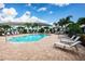 Community pool with lounge chairs and palm trees at 2444 Foggy Creek Cir, Clearwater, FL 33764