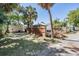 Backyard area with wooden fence, palm trees, and neighboring house at 1325 W North B St, Tampa, FL 33606