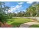 Beautiful front yard with lush green grass, mature palm trees, and well-maintained landscaping at 4944 Silverthorne Ct, Oldsmar, FL 34677