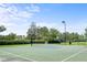 Outdoor basketball court with a well-maintained surface at 8414 Dunham Station Dr, Tampa, FL 33647