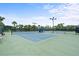Well-maintained tennis courts for recreational activities at 8414 Dunham Station Dr, Tampa, FL 33647