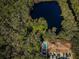 Beautiful aerial shot featuring a tranquil lake, lush forest, and a community with a sparkling pool and ample parking at 4399 Brooker Creek Dr, Palm Harbor, FL 34685