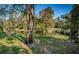 Backyard view showcasing mature trees and a pond with a bridge in the distance at 4399 Brooker Creek Dr, Palm Harbor, FL 34685
