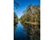 Scenic view of a calm canal with tree reflections at 4399 Brooker Creek Dr, Palm Harbor, FL 34685