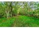 Peaceful nature trail winding through a lush, green landscape at 4399 Brooker Creek Dr, Palm Harbor, FL 34685