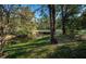 Serene canal view with lush greenery and a small bridge at 4399 Brooker Creek Dr, Palm Harbor, FL 34685