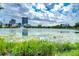 Scenic lake view with lush greenery and city skyline in the background at 701 Mirror Lake N Dr # 309, St Petersburg, FL 33701