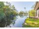 Serene pond view with lush greenery and a wooden dock at 3925 Shoreside Cir, Tampa, FL 33624