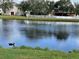 Peaceful lakefront view with lush green grass at 12217 Swaying Moss Cir, Riverview, FL 33569