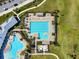 Resort-style pool area with lap pool and leisure pool at 15502 Black Pepper Ln, Odessa, FL 33556