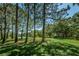 Lush green space with tall trees and a glimpse of a tennis court at 2690 Coral Landings Blvd # 722, Palm Harbor, FL 34684