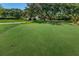 Community putting green, ideal for practicing golf skills and outdoor enjoyment at 2690 Coral Landings Blvd # 722, Palm Harbor, FL 34684