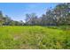 Large grassy lot with mature trees and sunny skies at 1810 Curry Rd, Lutz, FL 33549