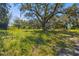 Wooded vacant lot with grassy areas at 1810 Curry Rd, Lutz, FL 33549