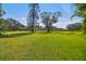 Large grassy area with mature trees and a house in the background at 1810 Curry Rd, Lutz, FL 33549