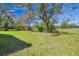 Open grassy lot with mature trees and distant road at 1810 Curry Rd, Lutz, FL 33549