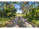 Dirt road through a lush, wooded area at 1810 Curry Rd, Lutz, FL 33549