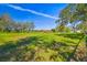 Open pasture with lush grass and mature trees at 1810 Curry Rd, Lutz, FL 33549