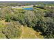 Aerial view of land with mature trees and a pond at 1810 Curry Rd, Lutz, FL 33549