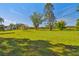 Grass lot with mature trees and a small building at 1810 Curry Rd, Lutz, FL 33549