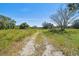 Vacant land with mature trees and grassy areas at 1810 Curry Rd, Lutz, FL 33549