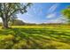 Large grassy area with shade trees and picnic table at 1810 Curry Rd, Lutz, FL 33549