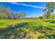Sunny pasture with grassy field and large trees at 1810 Curry Rd, Lutz, FL 33549