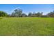 Expansive grassy lot with distant home and lush trees at 1810 Curry Rd, Lutz, FL 33549