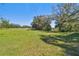 Open land with a mix of grass and trees at 1810 Curry Rd, Lutz, FL 33549