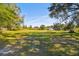 Spacious lot with grassy areas, mature trees, and shed at 1810 Curry Rd, Lutz, FL 33549