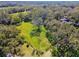 Aerial view of land with mature trees and a grassy area at 1810 Curry Rd, Lutz, FL 33549