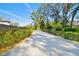 Paved driveway with manicured hedges on either side at 1810 Curry Rd, Lutz, FL 33549