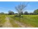 Vacant land with a dirt road and sparse trees at 1810 Curry Rd, Lutz, FL 33549