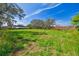Green pasture with mature trees and distant homes at 1810 Curry Rd, Lutz, FL 33549