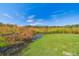 Peaceful waterfront view with lush vegetation at 1810 Curry Rd, Lutz, FL 33549