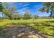 Spacious lot with mature trees and grassy areas at 1810 Curry Rd, Lutz, FL 33549