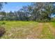 Vacant land with mature trees and grassy areas at 1810 Curry Rd, Lutz, FL 33549