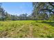 Large vacant land with mature trees and open space at 1810 Curry Rd, Lutz, FL 33549