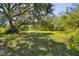 Wooded lot with grassy areas and mature trees at 1810 Curry Rd, Lutz, FL 33549