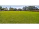 Open green space with a view of a house in the distance at 1810 Curry Rd, Lutz, FL 33549