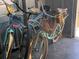 Three bicycles are neatly stored in the garage at 2658 48Th S St, Gulfport, FL 33711