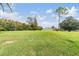 Spacious grassy backyard with mature trees and a partially visible building at 1333 Shady Pine Way # D, Tarpon Springs, FL 34688